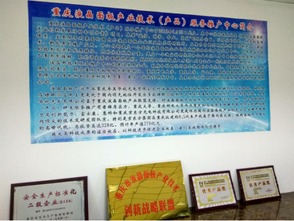 重慶液晶面板產(chǎn)業(yè)技術(shù)推廣中心成立，助力技術(shù)與產(chǎn)品服務(wù)升級(jí)