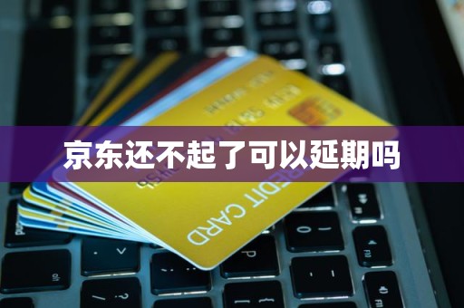 京東還不起可以申請延期嗎？個人信用修復服務解析